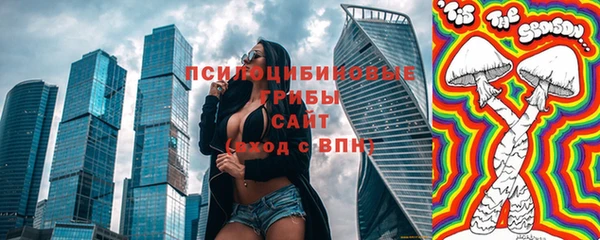 гидра Протвино