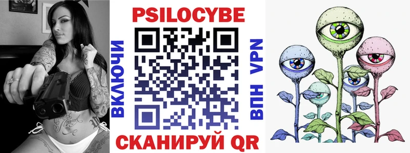 даркнет наркотические препараты  Свободный  Псилоцибиновые грибы Psilocybe 