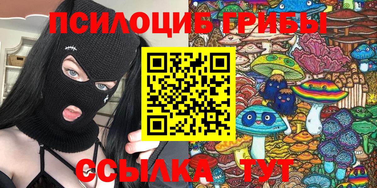 Свободный  Галлюциногенные грибы прущие грибы  Вход с VPN 
