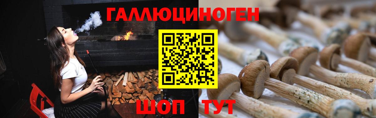 Псилоцибиновые грибы Psilocybine cubensis Свободный